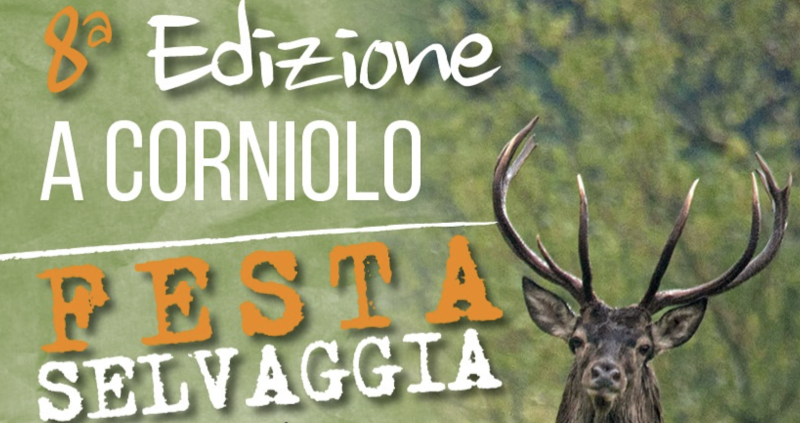 Festa Selvaggia oltre il Cervo